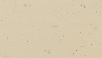 Limestone swatch